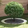 Image de vidaXL adapté pour anneau d'arbre plat Blanc Ø90 / 120 cm Acier