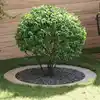 Image de vidaXL adapté pour anneaux d'arbre plats 5 pcs Argent Ø90 / 120 cm