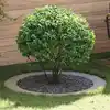Image de vidaXL adapté pour anneaux d'arbre plats 5 pcs Argent Ø90 / 120 cm