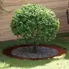 Image de vidaXL adapté pour anneau d'arbre plat Marron Ø90 / 120 cm Acier patiné