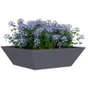 Image de vidaXL Cache-Pot de Jardin 5 pcs Anthracite 50 x 50 x 15 cm, Jardin et terrasse, Pot trapezoïdal Moderne, Support en métal, déco extérieure, Pot Minimaliste