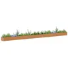Image de vidaXL Jardinière surélevée Marron Clair 775 x 50 x 36 cm