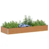 Image de vidaXL Jardinière surélevée Marron Clair 290 x 100 x 36 cm
