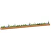 Image de vidaXL Jardinière surélevée Marron Clair 1164 x 50 x 36 cm
