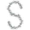 Image de vidaXL Guirlande de Boules de Noël Blanc et Argent 186 cm Polystyrène, Guirlande déco Salon, Ornement léger Moderne pour Noël, Parfait pour Bureau ou Couloir