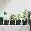 Image de vidaXL Pot à fleurs 50 pcs Noir Ø 15 x 12,5 cm Plastique