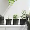 Image de vidaXL Pot à fleurs 50 pcs Noir Ø 15 x 13 cm Plastique