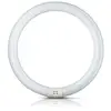 Image de Philips Tube fluo rond G10q 32W 865 Master Circular TL-E