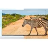 Image de LG - Téléviseur professionnel 55 55UR767H Nanocell UHD