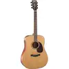 Image de Cort Earth 100 Natural Satin guitare folk