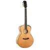 Image de Guitare Gold passion Naturel Brillant