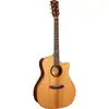 Image de Cort Gold-A10 Cocobolo guitare électrique-acoustique western avec étui