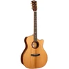 Image de Gold A10 Cocobolo Naturel Brillant