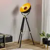 Image de EGLO Lampadaire Covaleda avec support trépied noir/doré