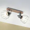 Image de EGLO Plafonnier Sambatello, 2 lampes, brun/argenté