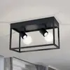 Image de EGLO Plafonnier Silentina à 2 lampes, 36x18 cm