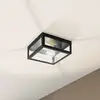Image de EGLO Plafonnier bain Amezola, 2 lampes, noir