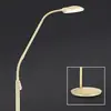 Image de Orion Lampadaire LED Cobra changement couleur de lumière