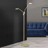 Image de Orion Lampadaire LED Cobra à 2 lampes, laiton-mat