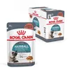 Image de Royal Canin Hairball Care Gravy | Lot de 2 | 2 x 12 x 85 g | Nourriture Humide pour Chats Adultes | pour favoriser la Formation de Boules de Poils | Petits Morceaux en Sauce