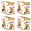 Image de Royal Canin Dachshund Adult Mousse | Pack de 4 | 4 x 12 x 85 g | Aliment Complet pour Chiens | Teckels Adultes