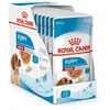 Image de Royal Canin Medium Puppy | 10 x 140 g | Nourriture Humide pour Chiots de Taille Moyenne | Jusqu'à 12 Mois | pour Le Soutien du Cerveau | Morceaux en Sauce