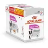 Image de Royal Canin Relax Care Mousse | 12 x 85 g | Alimento Completo Para Perros adultos | Para Perros a partir de 10 Meses de edad Que viven en Un entorno inquieto
