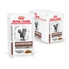 Image de Royal Canin Veterinary Gatrointestinal Moderate Calorie | 12 x 85 g | Aliment Complet diététique pour Chats | pour soulager Les Troubles aigus de l'absorption intestinale | Grande Acceptation