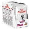 Image de Royal Canin Veterinary Early Renal | 12 x 85 g | Aliment complet diététique pour chats | Pour un soutien précoce de la fonction rénale | Avec une teneur modérée en phosphore
