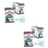 Image de Royal Canin Urinary Care Jelly | Pack de 4 | 4 x 12 x 85 g | Aliment Complet pour Chats Adultes (gelée) | Peut contribuer à Soutenir la santé des Voies urinaires | Teneur en minéraux équilibrée