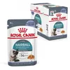 Image de Royal Canin Hairball Care Jelly | 12 x 85 g | Aliment Complet pour Chats (Morceaux Fins en gelée) | Peut contribuer à réduire la Formation de Boules de Poils