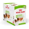 Image de ROYAL CANIN X-Small Adult | 12 x 85 g | Alimentation Humide pour Chiens Adultes de très Petite Taille | À partir du 10e Mois de Vie | avec des Morceaux en Sauce | en Sachet Souple