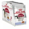 Image de Royal Canin Instinctive Jelly | Pack de 4 | 4 x 12 x 85 g | Nourriture Humide en gelée pour Chats Adultes | pour Le Soutien des Voies urinaires et du Poids | Formule équilibrée