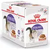 Image de Royal Canin Feline Sterilised en Gelée | 12 x 85 g | Aliment Complet pour Chats stérilisés Adultes