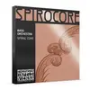Image de Spirocore Noyau Spirale Moyen S42