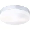 Image de Plafonnier alu, argent, opale IP44, D:240, H:65, excl. 2xE27 40W 230V