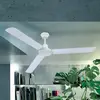 Image de Globo Ventilateur de plafond Ferro à interrupteur mural