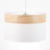 Image de Globo Suspension Libba au design remarquable