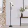 Image de Globo Lampadaire LED Ernst avec bras souple, noir