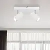 Image de Globo Spot pour plafond Robby, blanc, longueur 26 cm, à 2 lampes, métal