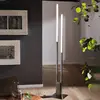 Image de EGLO connect Fraioli-Z lampadaire LED nickel mat