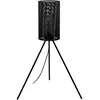 Image de EGLO Lampe sur pied Ladunara en noir avec trépied