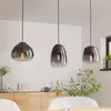 Image de EGLO Suspension Aguilares, verre fumé, 3 lampes, linéaire