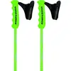Image de Komperdell NATIONALTEAM Carbon GS 12.3 Bâton. Mixte, Vert, 120