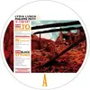 Image de In Comfort Ep (Picture Vinyl)