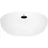 Image de Pro-Ject Acryl It RPM1 Carbon - Plateau Acrylique pour Platine RPM Carbon