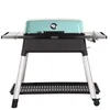 Image de DIGIPLASTICS Everdure Furnace  Barbecue à gaz Everdure by Heston Blumenthal Couleur Menthe