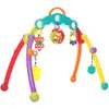 Image de Playgro Arche de Jeux Pliable, Avec Jouets Détachables, Dès la Naissance, Junyju Fold and Go Activitiy Playgym, Multicolore, 40173