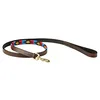 Image de Weatherbeeta Laisse pour Chien Polo en Cuir - Cowdray Marron/Rose/Bleu/Jaune