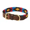 Image de Weatherbeeta - Collier Polo - Chien (M) (Marron/Rose/Bleu/Jaune)